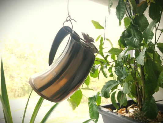 Horn Tankard for Crafters - Not for Drinking - Groennfell & Havoc Mead Store