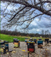 Raw Honey from Vermont Bees - Groennfell & Havoc Mead Store