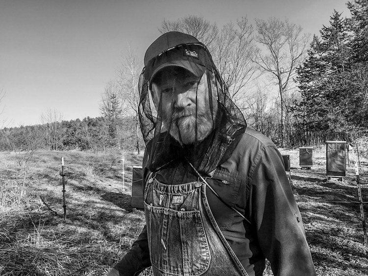Raw Honey from Vermont Bees - Groennfell & Havoc Mead Store